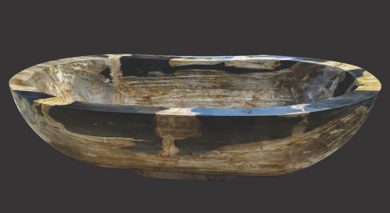 Petrified Wood Bath